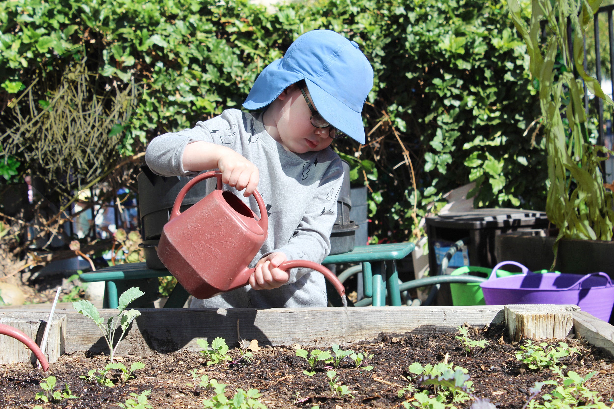 Gardening